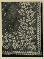An illustration from Embroidery and lace : their manufacture and history (1899)