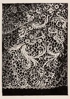 An illustration from Embroidery and lace; their manufacture and history (1899)