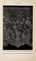 Picture 12 of 18 from Embroidery and lace; their manufacture and history (1899), leaf 222
