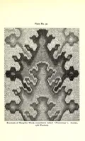 Picture 12 of 20 from Embroidery: or, The craft of the needle (1907), leaf 233