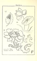 Picture 17 of 20 from Embroidery: or, The craft of the needle (1907), leaf 318