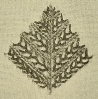 An illustration from An embroidery pattern book (1917)