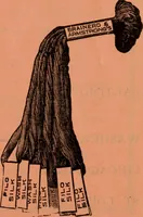 An illustration from Embroidery silks (1900)