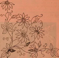 An illustration from Embroidery silks (1900)