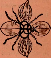 An illustration from Embroidery silks (1900)