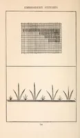Picture 9 of 18 from Embroidery stitches (1912), leaf 104