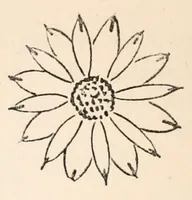 An illustration from Embroidery stitches (1912)