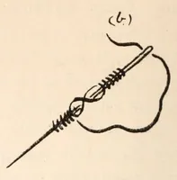 An illustration from Embroidery stitches (1912)