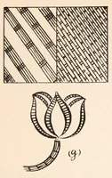 Picture 5 of 18 from Embroidery stitches (1912), leaf 62