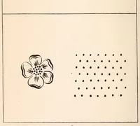 An illustration from Embroidery stitches (1912)