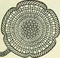 An illustration from Embroidery and tapestry weaving : a practical text-book of design and workmanship (1912)