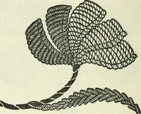 An illustration from Embroidery and tapestry weaving : a practical text-book of design and workmanship (1912)