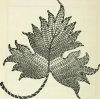 An illustration from Embroidery and tapestry weaving : a practical text-book of design and workmanship (1912)