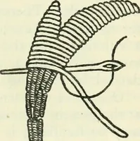 An illustration from Embroidery and tapestry weaving : a practical text-book of design and workmanship (1912)