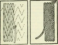 An illustration from Embroidery and tapestry weaving : a practical text-book of design and workmanship (1912)