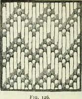 An illustration from Embroidery and tapestry weaving : a practical text-book of design and workmanship (1912)
