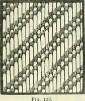 An illustration from Embroidery and tapestry weaving : a practical text-book of design and workmanship (1912)
