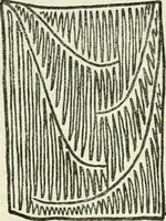 An illustration from Embroidery and tapestry weaving : a practical text-book of design and workmanship (1912)