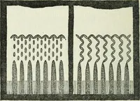 An illustration from Embroidery and tapestry weaving : a practical text-book of design and workmanship (1912)