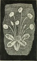 An illustration from Embroidery and tapestry weaving : a practical text-book of design and workmanship (1912)