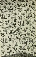 An illustration from Embroidery and tapestry weaving : a practical text-book of design and workmanship (1912)