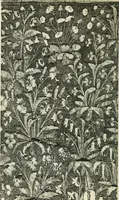 An illustration from Embroidery and tapestry weaving : a practical text-book of design and workmanship (1912)