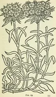 An illustration from Embroidery and tapestry weaving : a practical text-book of design and workmanship (1912)