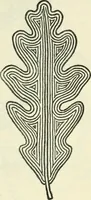 An illustration from Embroidery and tapestry weaving : a practical text-book of design and workmanship (1912)