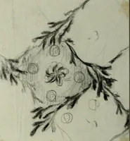 An illustration from [Embroidery and textile designs (1875)