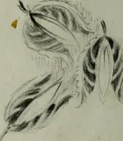 Picture 32 of 106 from [Embroidery and textile designs (1875), leaf 220