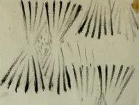 Picture 34 of 106 from [Embroidery and textile designs (1875), leaf 222