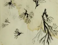 An illustration from [Embroidery and textile designs (1875)