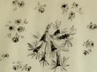 An illustration from [Embroidery and textile designs (1875)