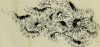 An illustration from [Embroidery and textile designs (1875)