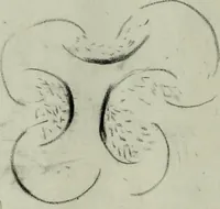 An illustration from [Embroidery and textile designs (1875)