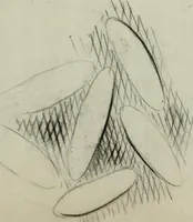 Picture 90 of 106 from [Embroidery and textile designs (1875), leaf 249