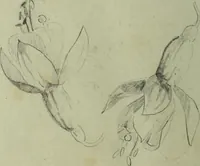 An illustration from [Embroidery and textile designs (1875)