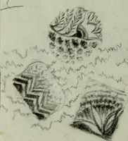 Picture 104 of 106 from [Embroidery and textile designs (1875), leaf 256