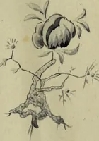An illustration from [Embroidery and textile designs (1875)