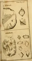 An illustration from Employment for the microscope : in two parts (1764)