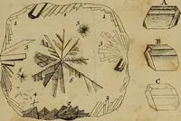 An illustration from Employment for the microscope : in two parts (1764)
