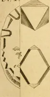 An illustration from Employment for the microscope : in two parts (1764)