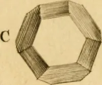 An illustration from Employment for the microscope : in two parts (1764)