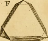 An illustration from Employment for the microscope : in two parts (1764)
