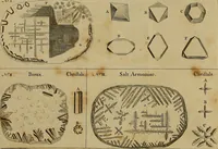 An illustration from Employment for the microscope : in two parts (1764)