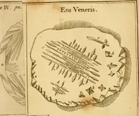 Picture 18 of 60 from Employment for the microscope : in two parts (1764), leaf 152