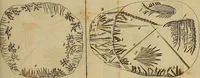 An illustration from Employment for the microscope : in two parts (1764)
