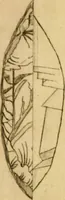 An illustration from Employment for the microscope : in two parts (1764)