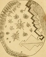 An illustration from Employment for the microscope : in two parts (1764)