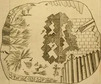 An illustration from Employment for the microscope : in two parts (1764)